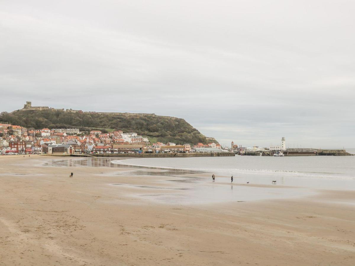 7A Belvoir Terrace Scarborough Eksteriør bilde